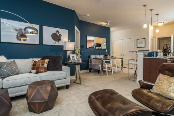 Nine and Ten Foot Ceilings at Abberly at Southpoint Apartment Homes, Virginia
