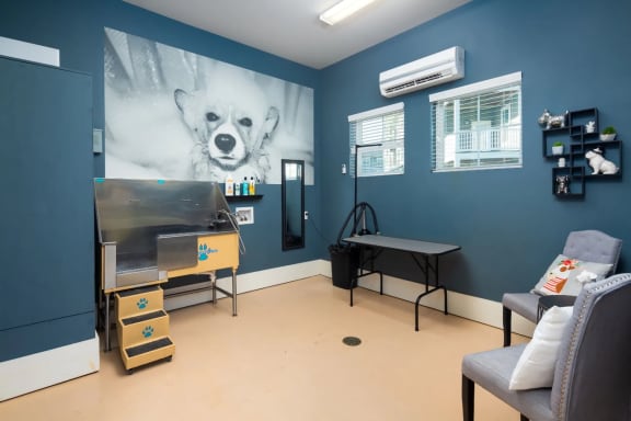 a treatment room with a painting of a bear on the wall