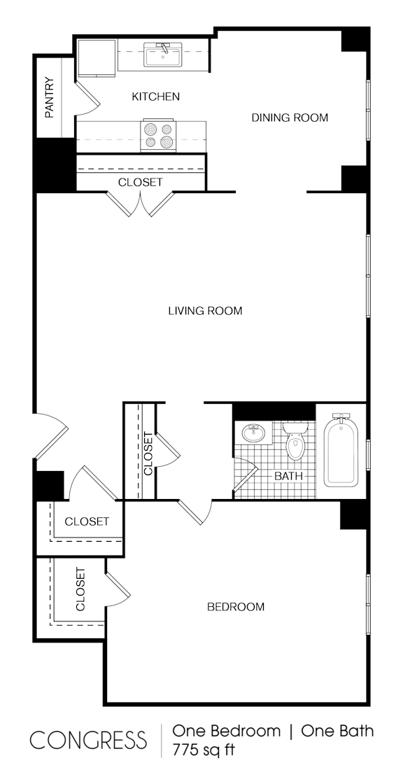 1 bed 1 bathroom at 275 on the Park Apartments, St. Louis