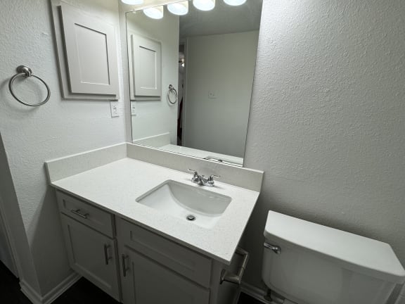 a bathroom with a sink and a mirror and a toilet