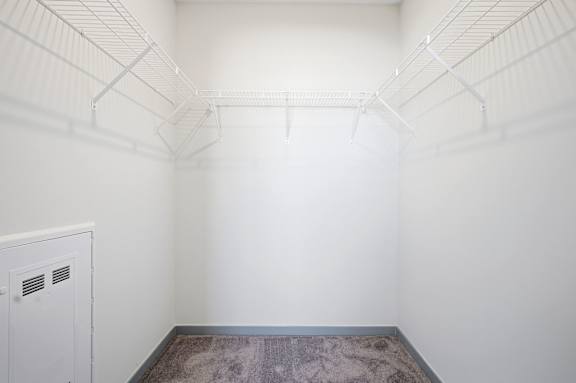 A white closet with a brown carpet and a white cabinet.