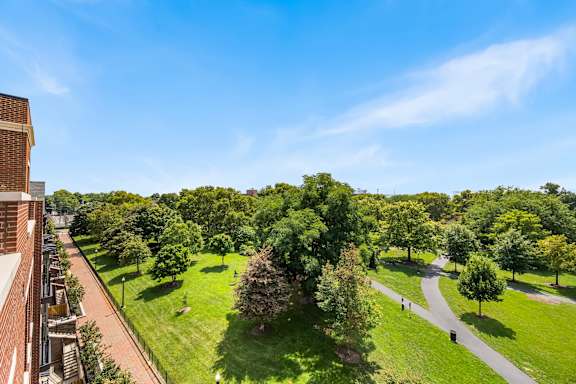 A tree-lined pathway in a park.