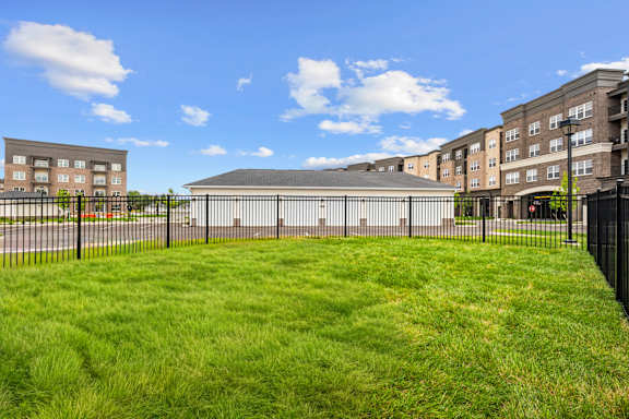 A grassy area in front of a building with a fence.