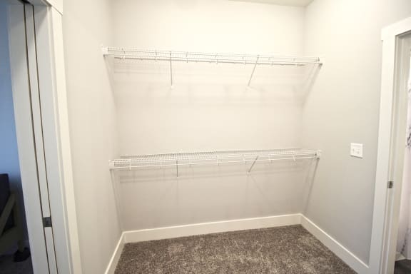 an empty closet in a home with a carpeted floor and a glass closet door