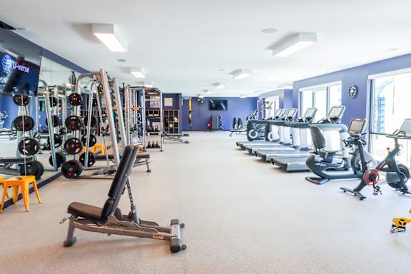a large fitness room filled with weights and cardio equipment