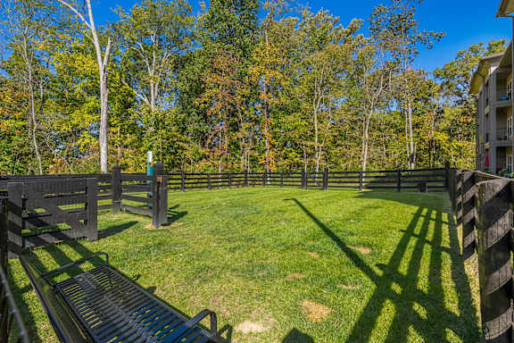 A backyard with a fence and a bench.