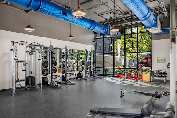 A gym with a variety of equipment including weights and a bench.