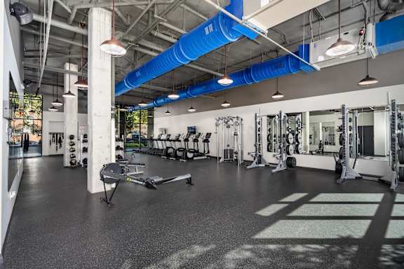 A gym with a variety of equipment including weights and a treadmill.