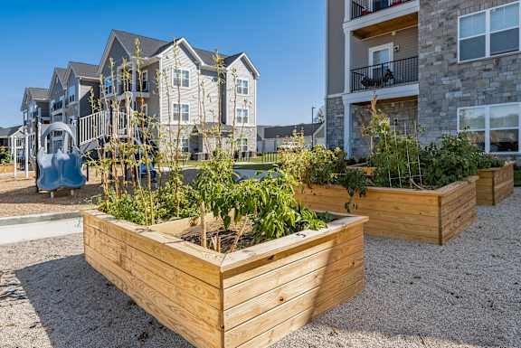 A row of wooden raised garden beds are in front of apartment buildings.