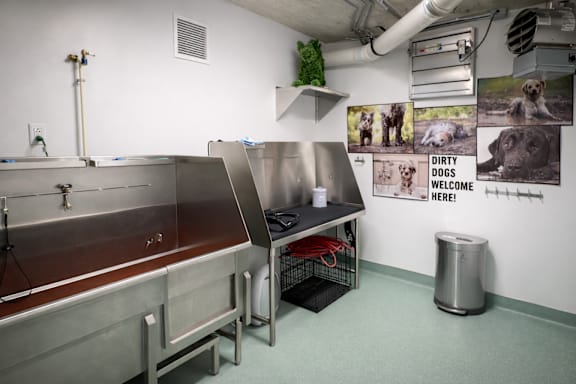 A room with a sink and a sign that says Dirty Dogs Welcome Here!