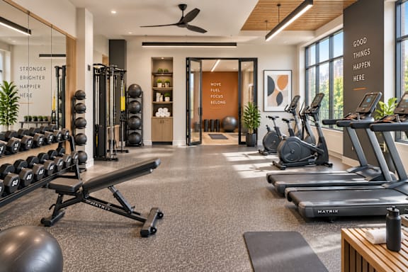 A gym with a variety of equipment including treadmills, weights, and exercise balls.