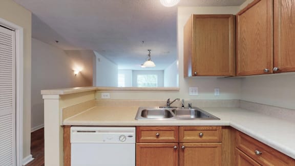 Large Kitchen equipped with dishwasher and double sink
