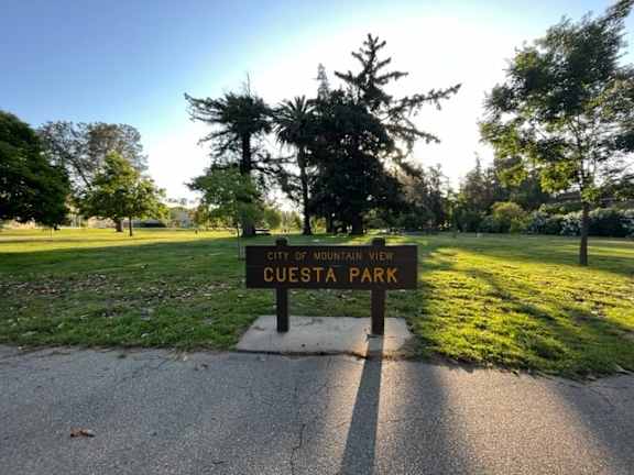 a park sign on the side of a road