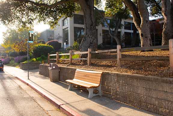 A bench is on the sidewalk next to a curb.