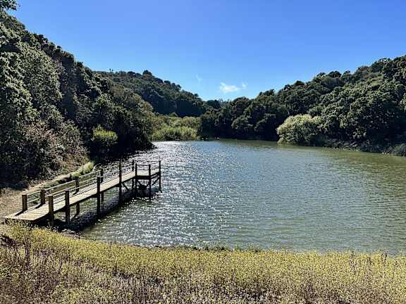Dock on the local lake at Waterdog Lake and Open Space