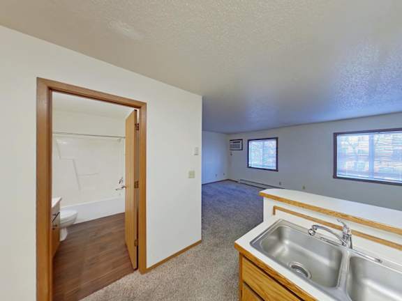A kitchen with a sink and a window.