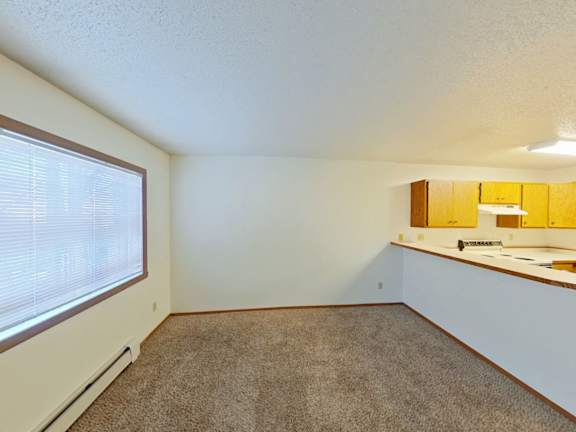 A room with a window and a carpeted floor.