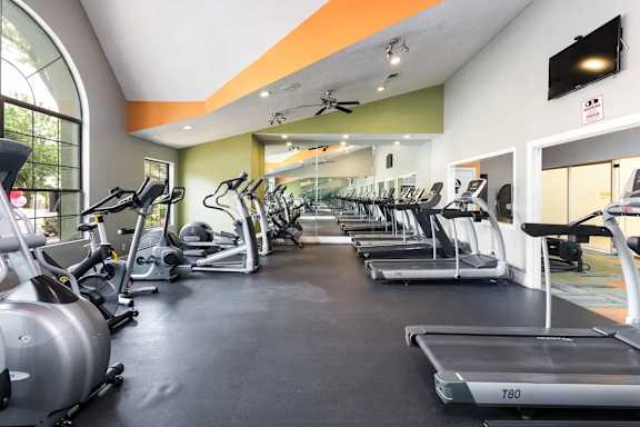 A gym with treadmills and elliptical machines.