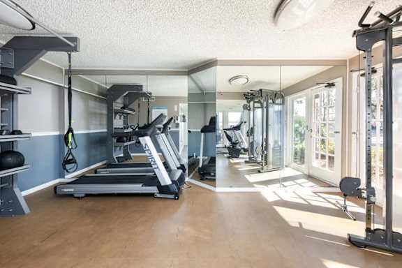 A spacious home gym with a variety of equipment including treadmills, weights, and exercise machines.