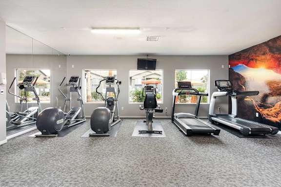 A gym with treadmills, elliptical machines, and other cardio equipment.