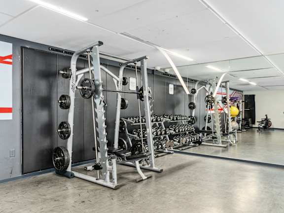 A gym with a weightlifting rack and dumbbells.