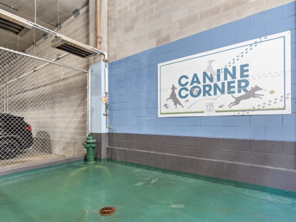 the indoor swimming pool at canine corner with a sign on the wall at One 333, Chicago, Illinois
