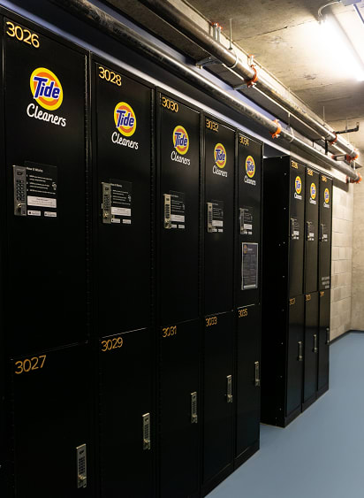 A row of Tide cleaners are lined up in a row.