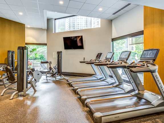 A gym with treadmills, elliptical machines, and a television.