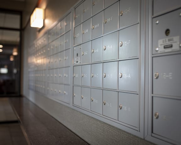 Package Concierge Locker at Twin Towers, Chicago, 60615