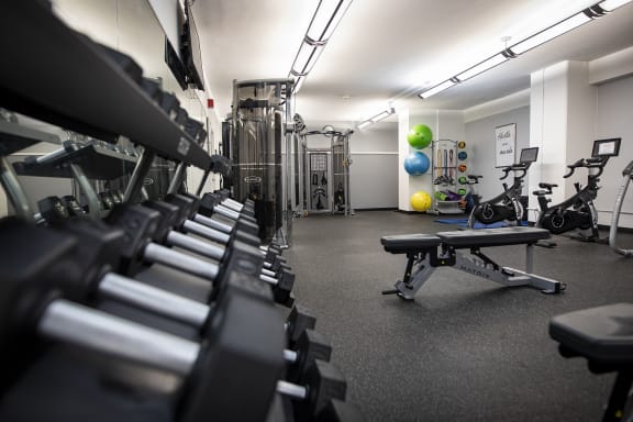 24-Hour Fitness Center With Free Weights at Twin Towers, Chicago, IL, 60615