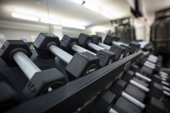 Free Weights at Twin Towers, Illinois, 60615