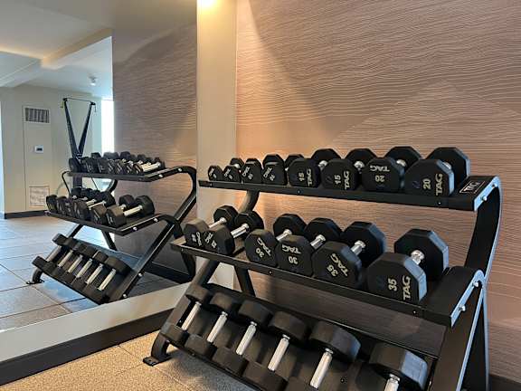 A set of dumbbells are arranged on a rack in a gym.