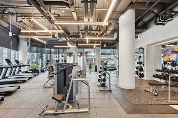 A gym with a variety of equipment including treadmills, weights, and a rowing machine.