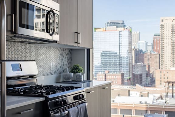 Fully Furnished Kitchen With Stainless Steel Appliances at One 333, Chicago