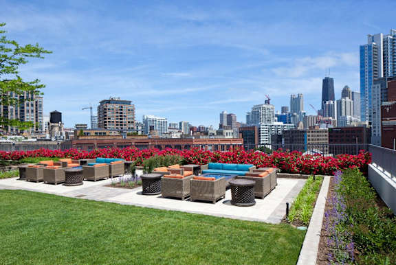 A city skyline is visible in the distance behind a park with red flowers and seating.