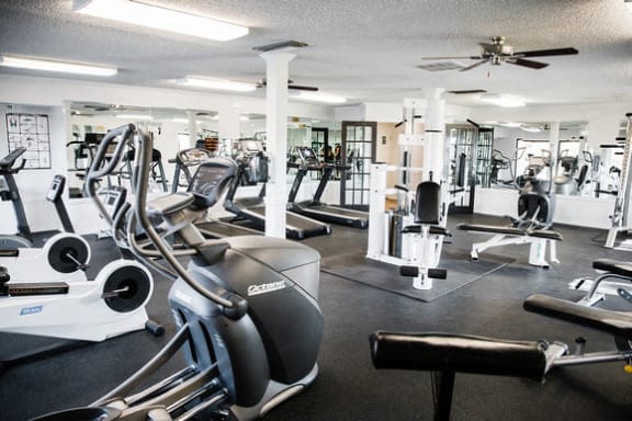 Fitness center with cardio and weight equipment2 at Cantera Apartments, El Paso