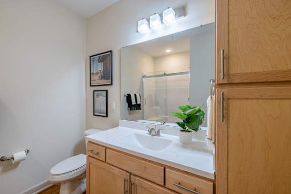 A bathroom with a toilet, sink, mirror, and wooden cabinets at 1701 North Apartment Homes Apartments, Chapel Hill, NC