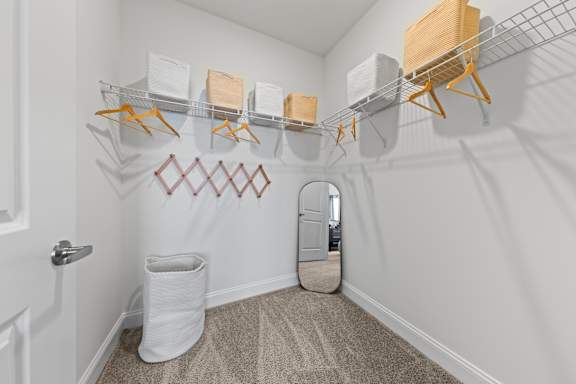 Large Closet with Shelves at Views at Flowers, North Carolina
