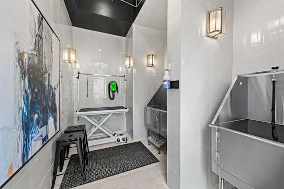 Modern Pet Spa at Views at Flowers, Clayton, NC, 27527