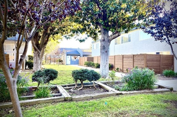 a garden with trees and shrubs in front of a house at Fiesta Apts, California, 93436