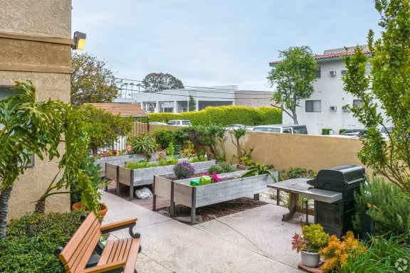 a backyard with benches and plants and a grill at Huntington Terrace North Senior, California, 92648