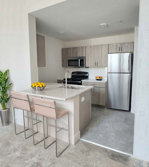216 E State - Custom Kitchens with Quartz Countertops