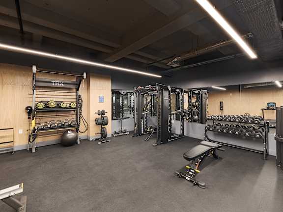 The Bell Lofts Fitness Center TRX Machine