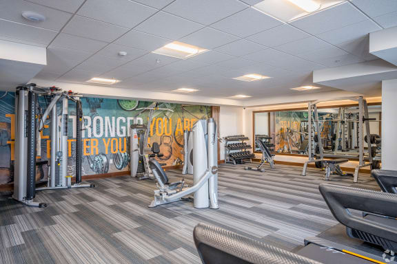 the gym at the house