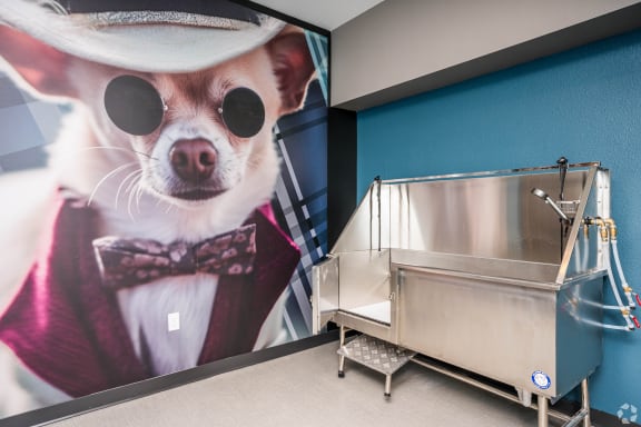 a photo of a dog wearing a hat and bow tie next to a stainless steel