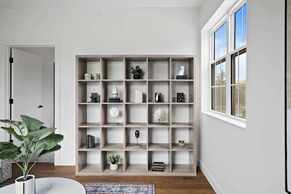 A room with a shelf and a plant.