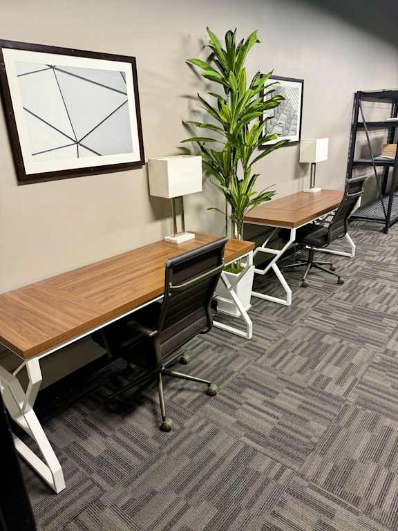 A long table with chairs and a plant in a room.