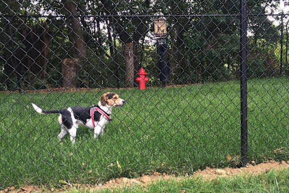 Pet Park at Briar Hills, Omaha, NE