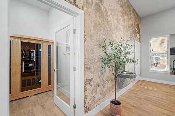 A room with a tree in a pot and a wallpapered wall.
