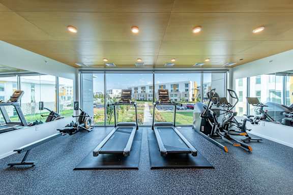 A gym with treadmills and exercise equipment.
